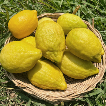 Organic Lemon - เลมอน