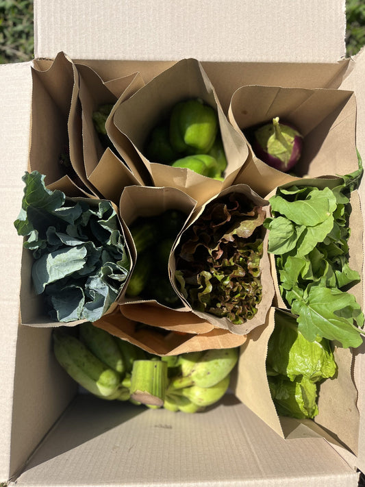 Organic Seasons Best Box (One-Person)