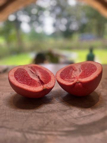 Pink Grapefruit - เกรฟฟรุ๊ต