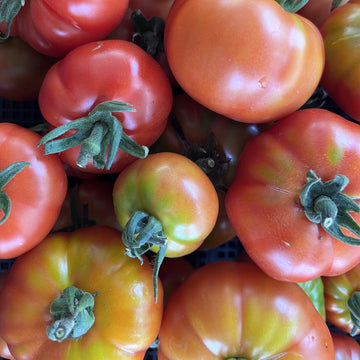 Organic Heirloom Tomato - มะเขือเทศ