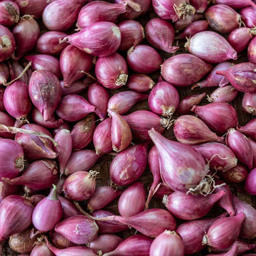 Organic Shallots - หอมแดง
