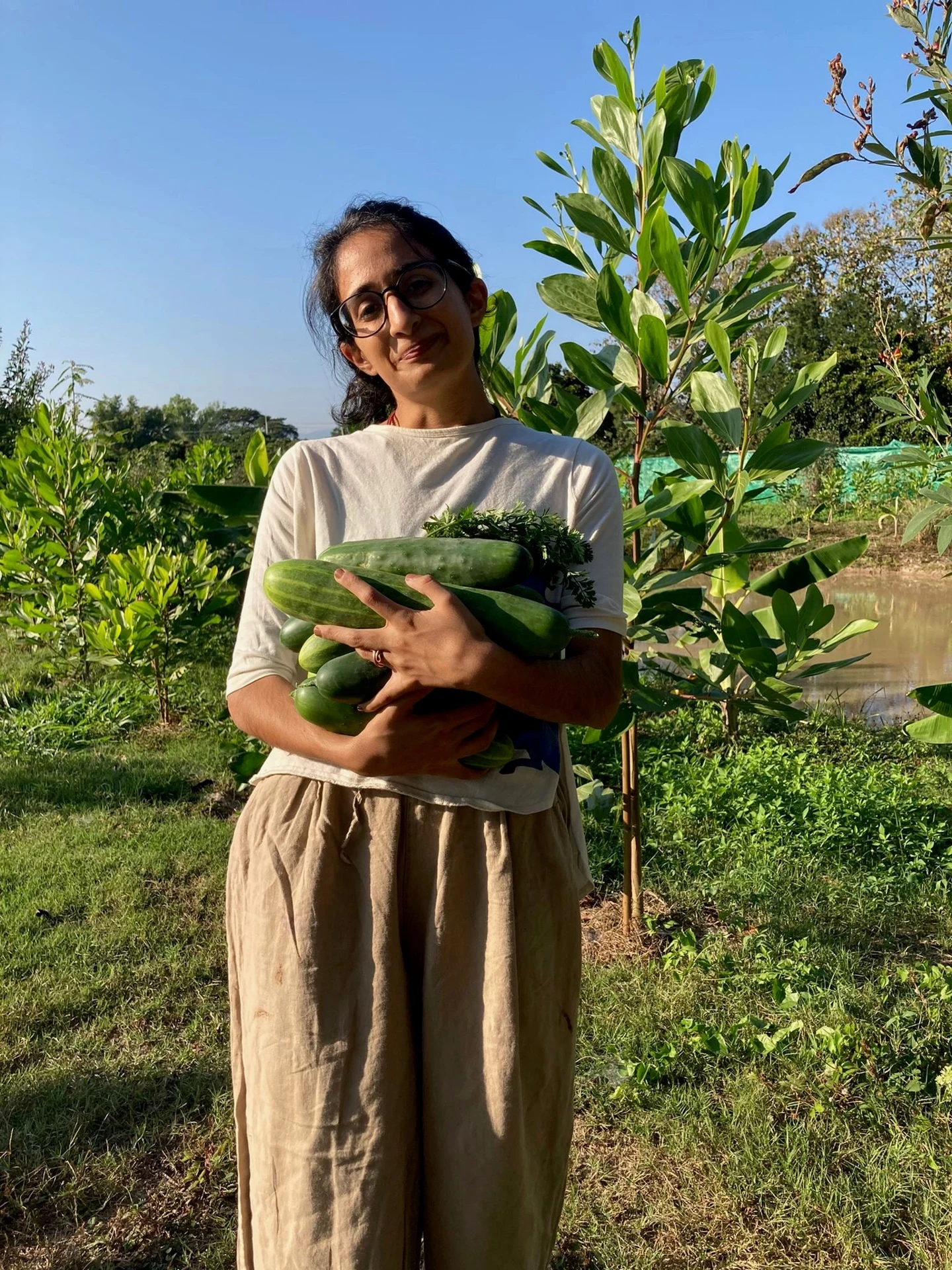 Farm-to-Table Freshness