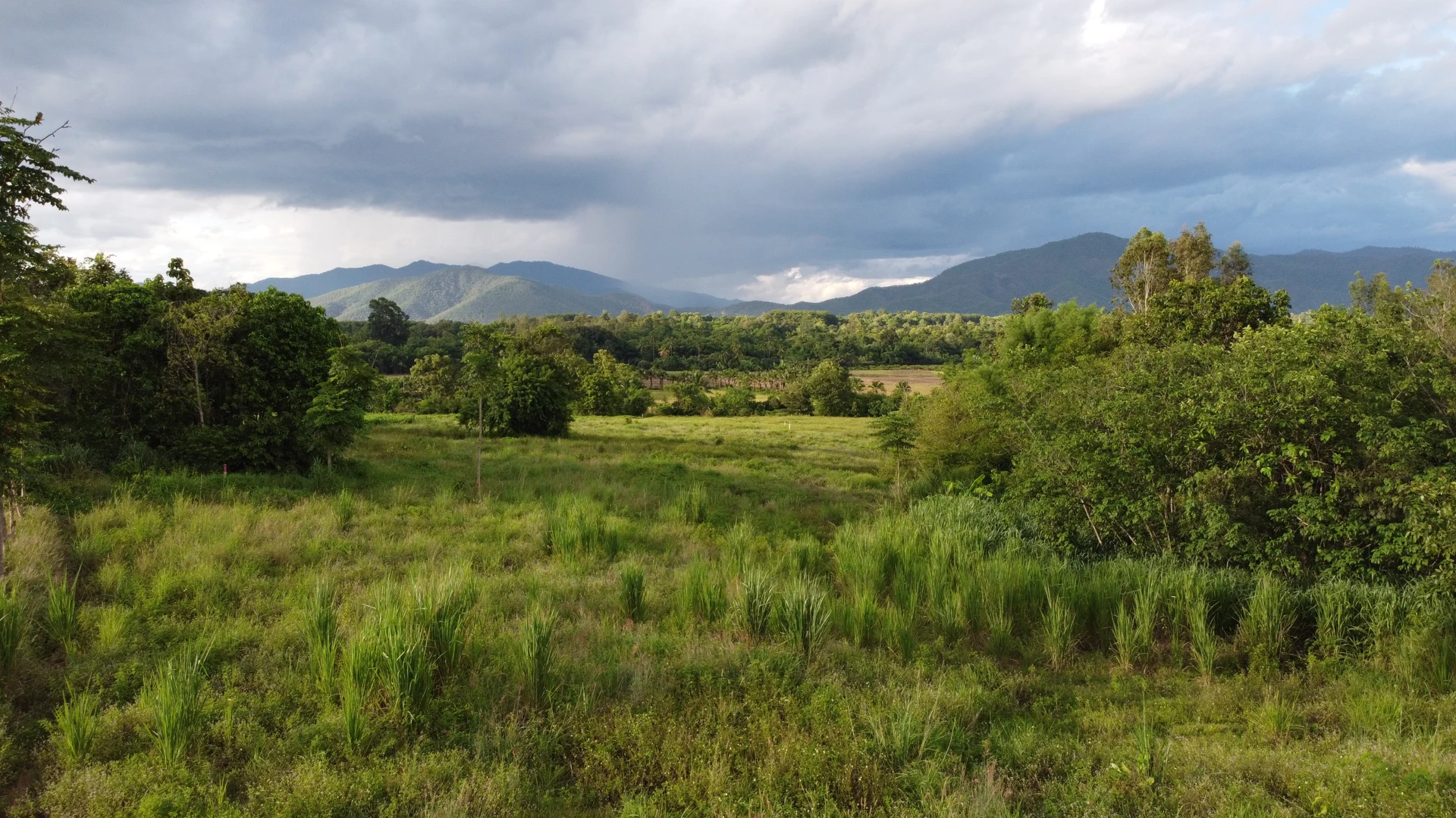 The Sunshine Permaculture farm in Chiang Mai