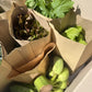 Organic Vegetable Box (Two Person)