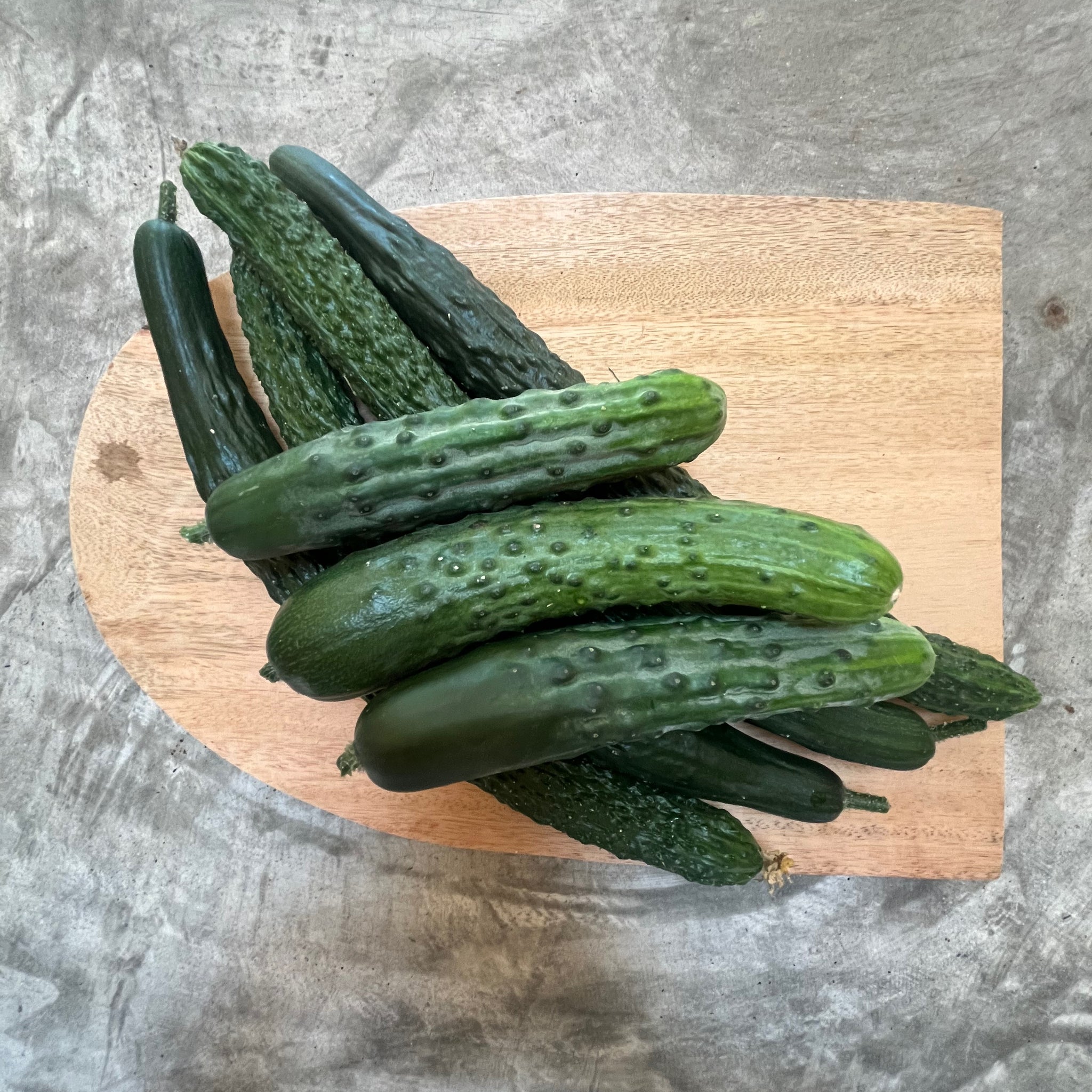 Organic Mix Cucumber - แตงกวา