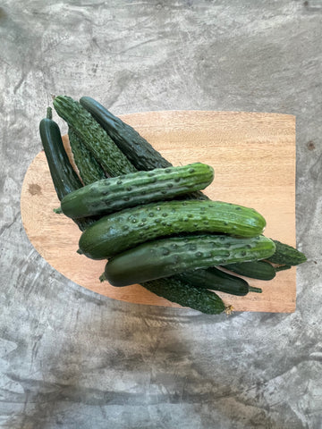 Organic Mix Cucumber - แตงกวา