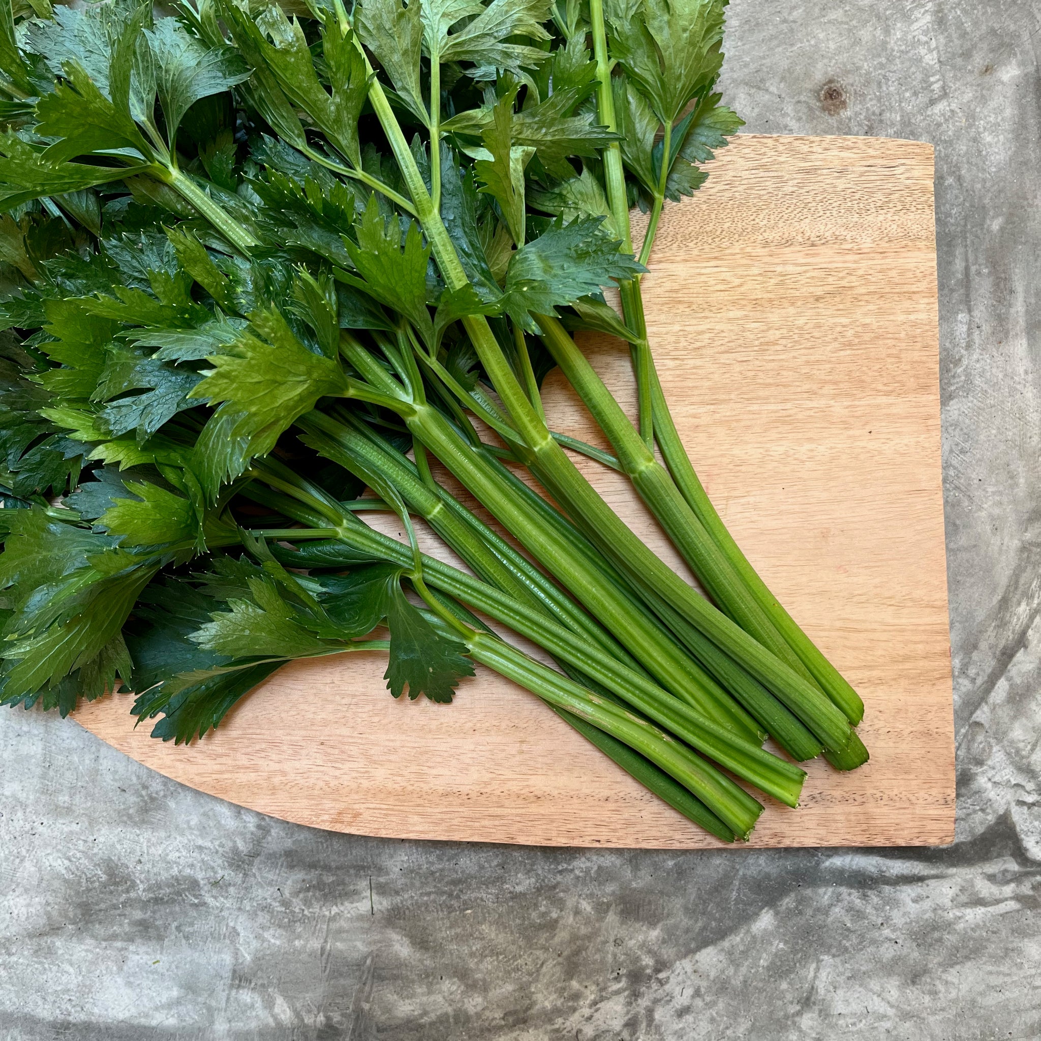 Organic Thai Celery - นฉ่าย