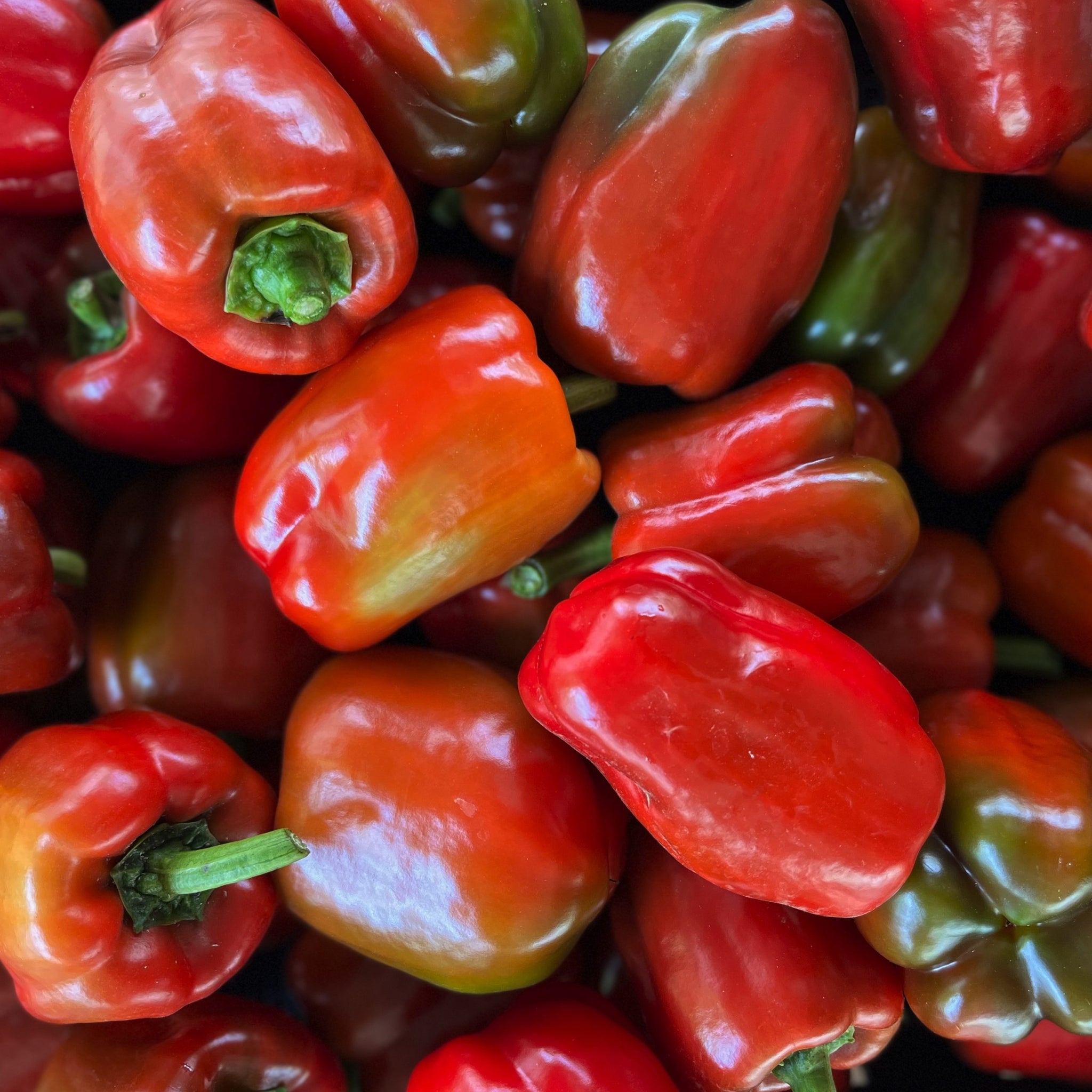 Organic Red Bell Pepper - พริกหยวกแดง