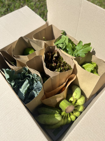 Organic Vegetable Box (Two Person)